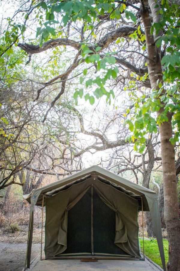 Hotel Sitatunga Campsite Maun Exterior foto